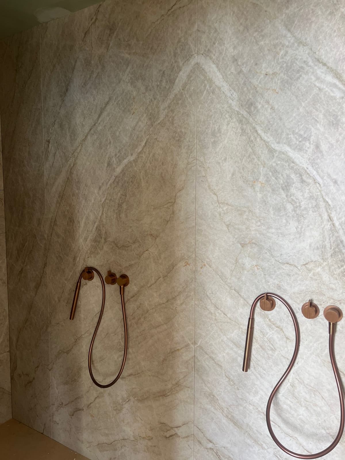 project-lili image 1